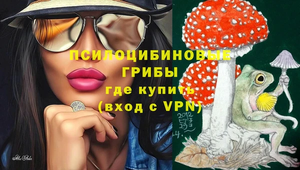 крисы Бронницы
