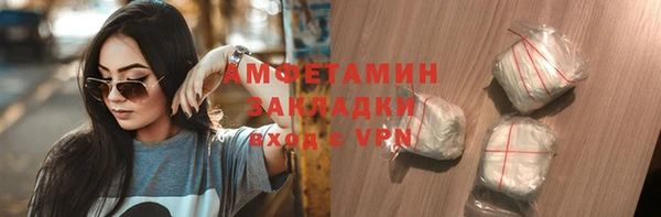 крисы Бронницы