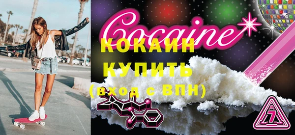2c-b Бородино