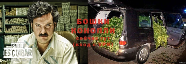 крисы Бронницы