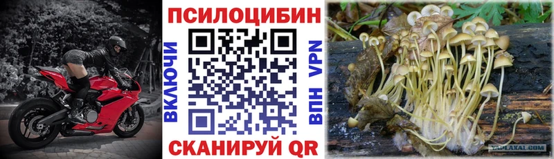 Псилоцибиновые грибы ЛСД  Курск 